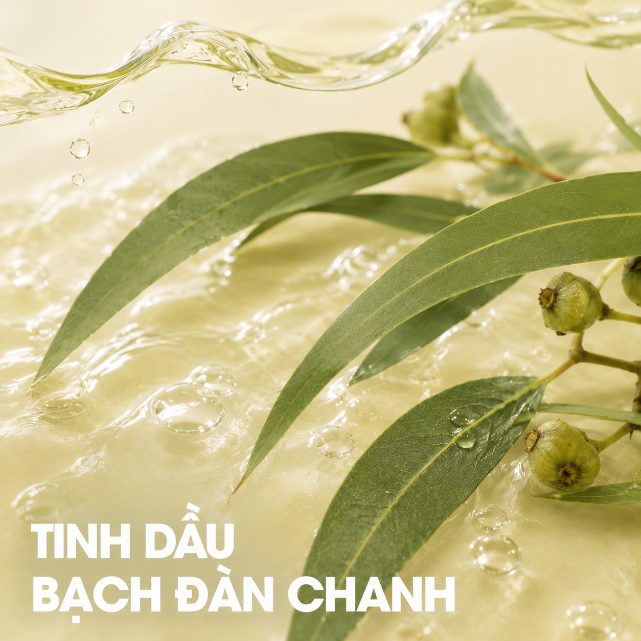 Tinh dầu bạch đàn chanh