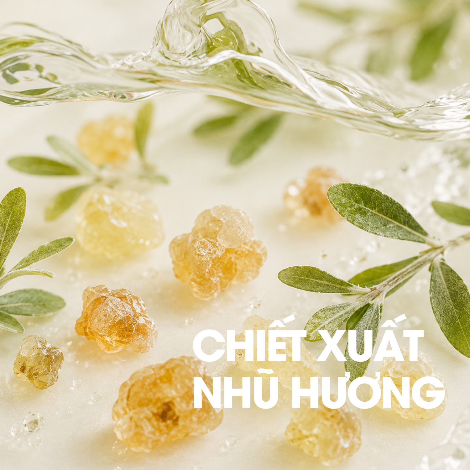 Chiết xuất nhũ hương