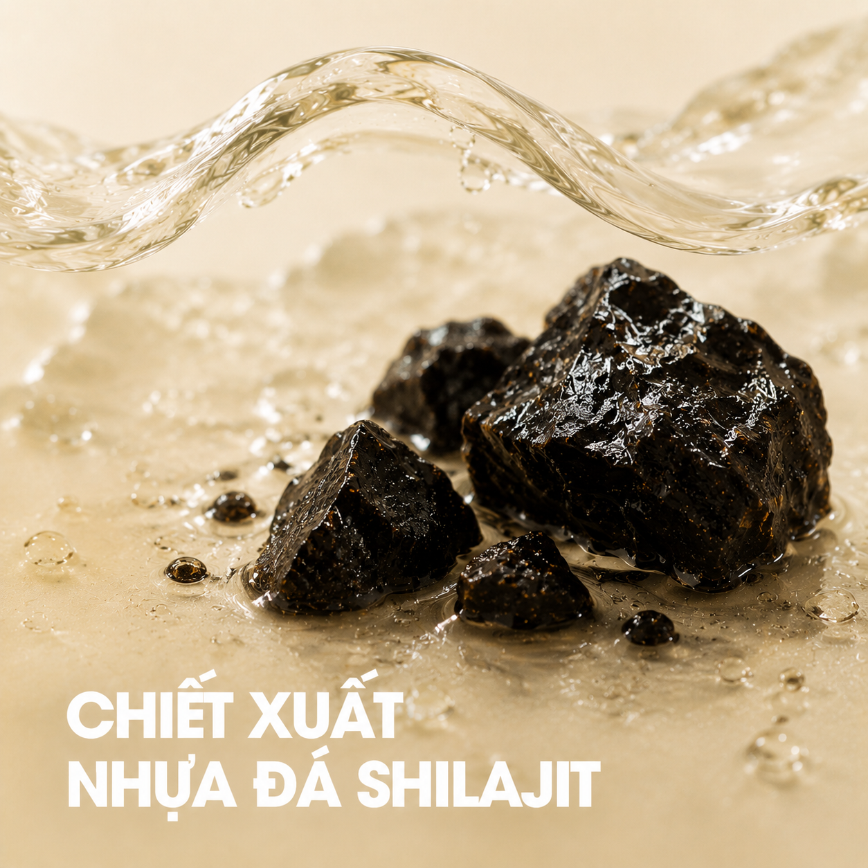 Chiết xuất nhựa đá Shilajit