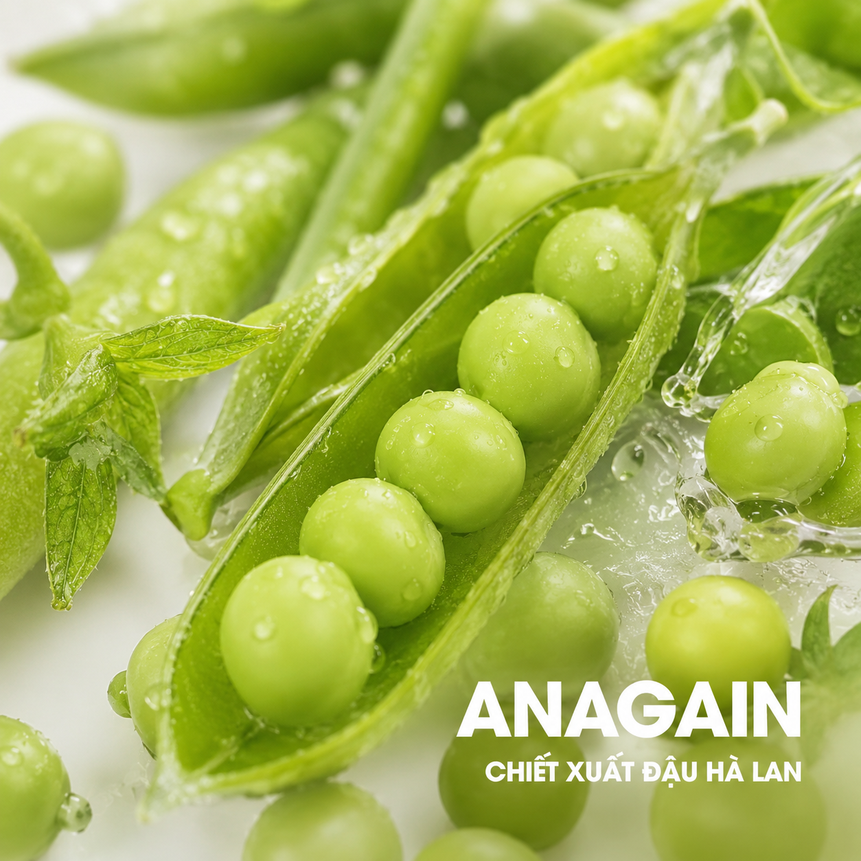 AnaGain™