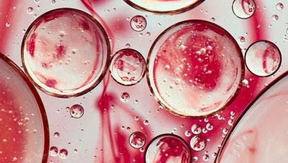 Astaxanthin là gì