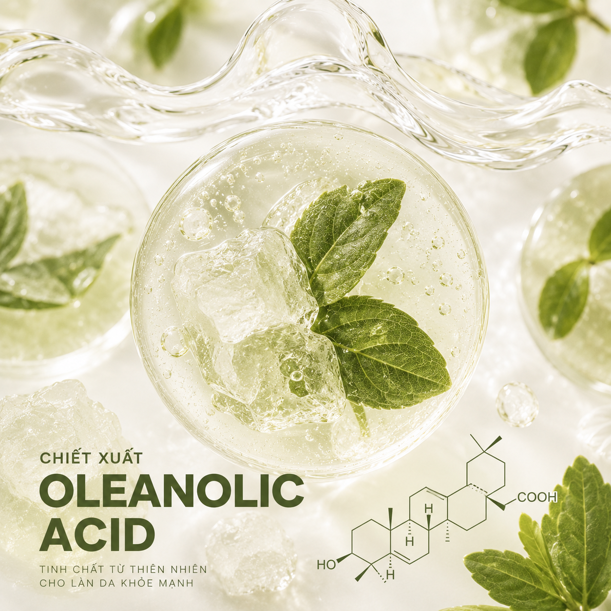 Oleanolic Acid