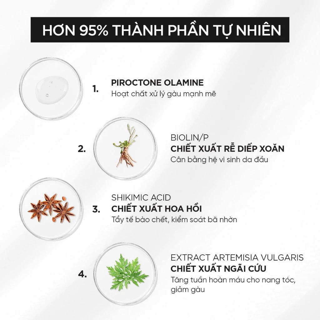 Serum Sạch Gàu Prexpy